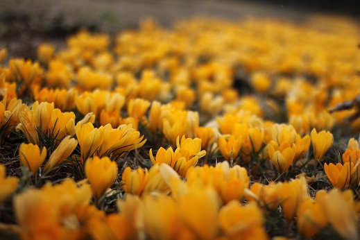 ファイル 415-1.jpg