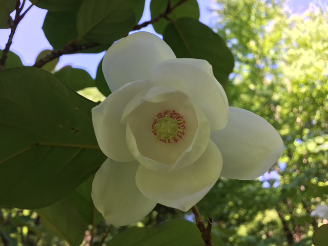 ファイル 422-1.jpg