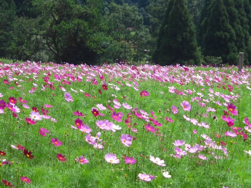 ファイル 430-1.jpg