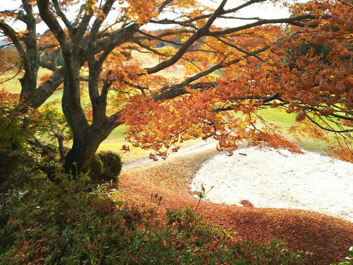 ファイル 478-1.jpg