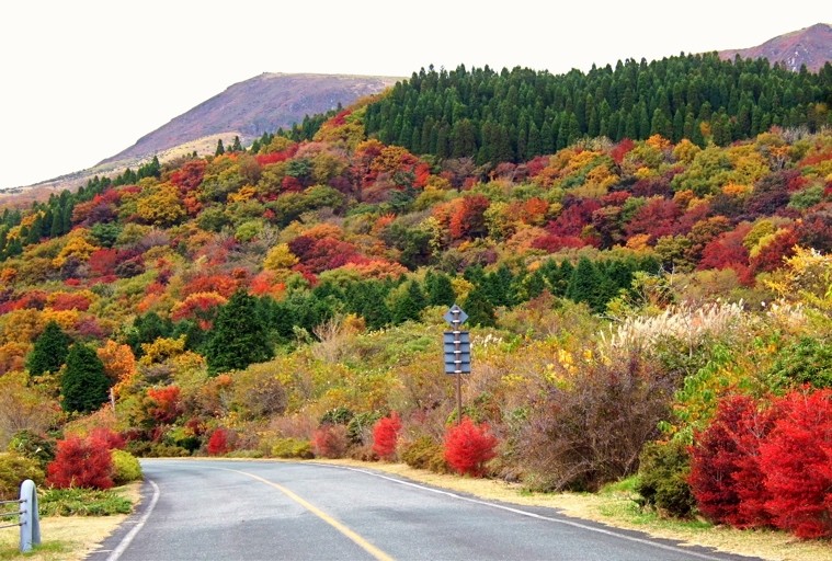 ファイル 481-1.jpg