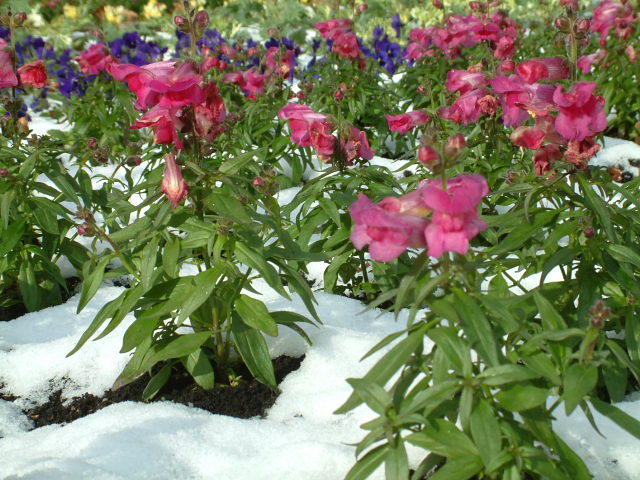 ファイル 494-1.jpg