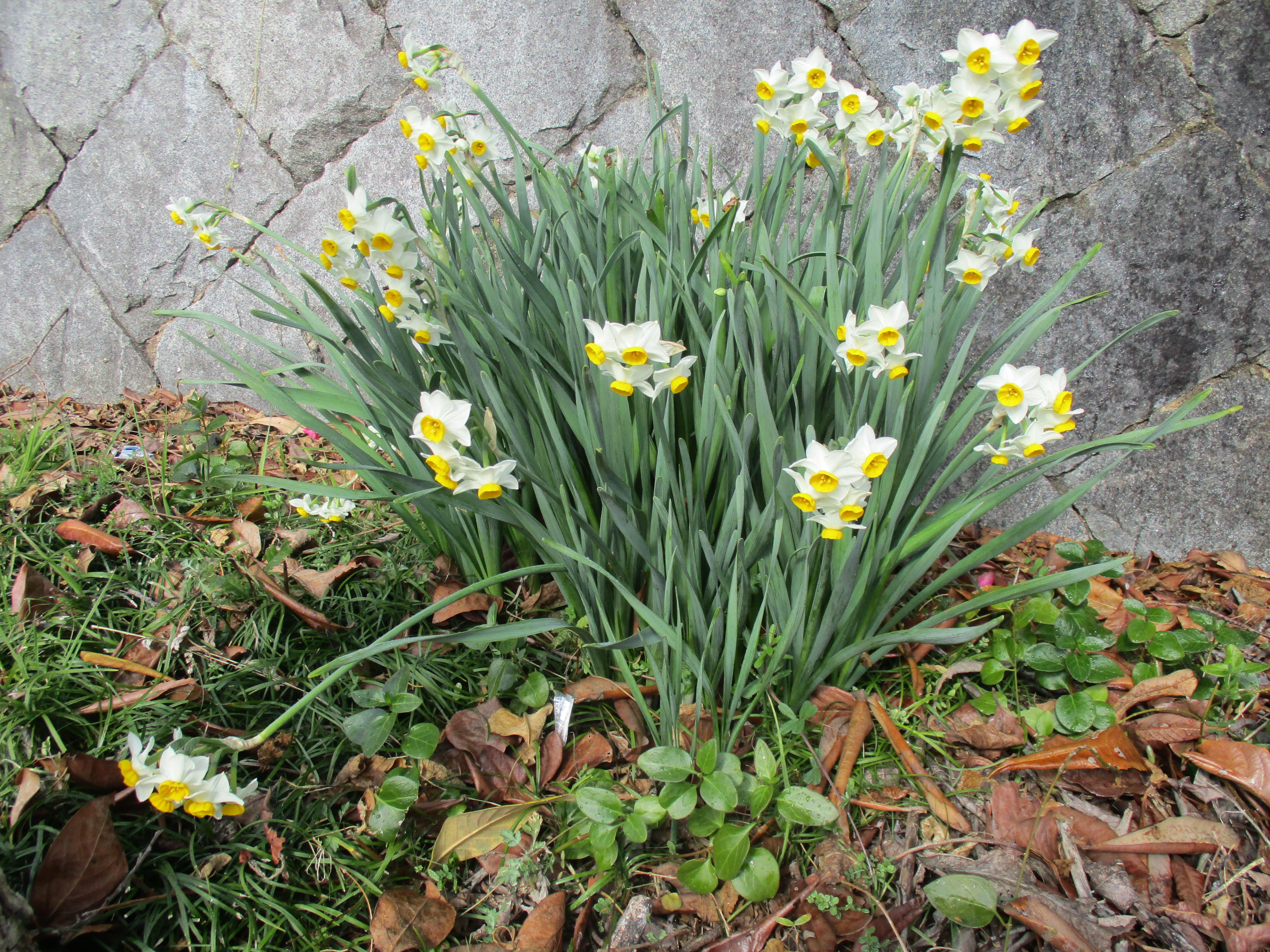 ファイル 505-1.jpg