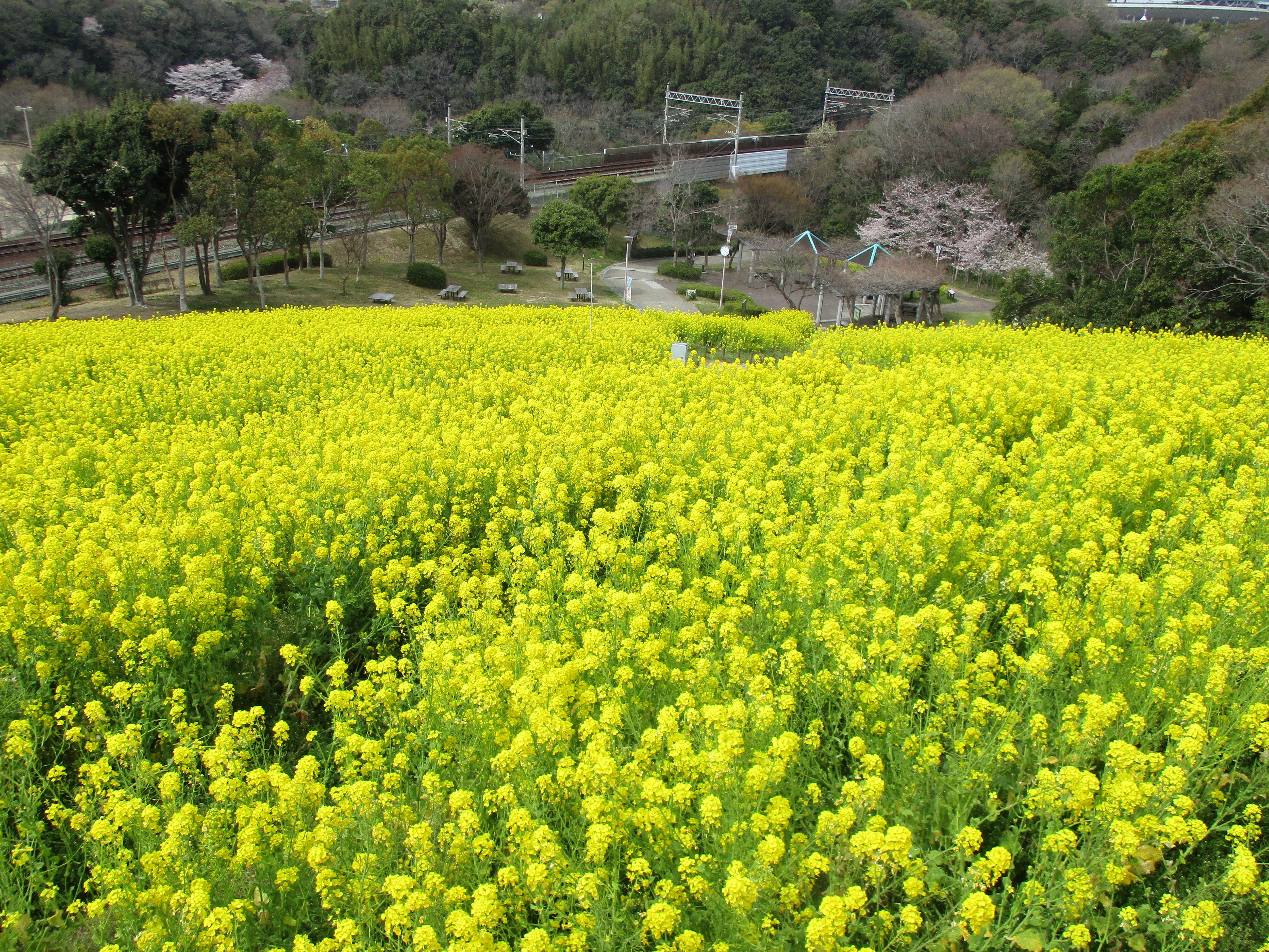 ファイル 511-2.jpg