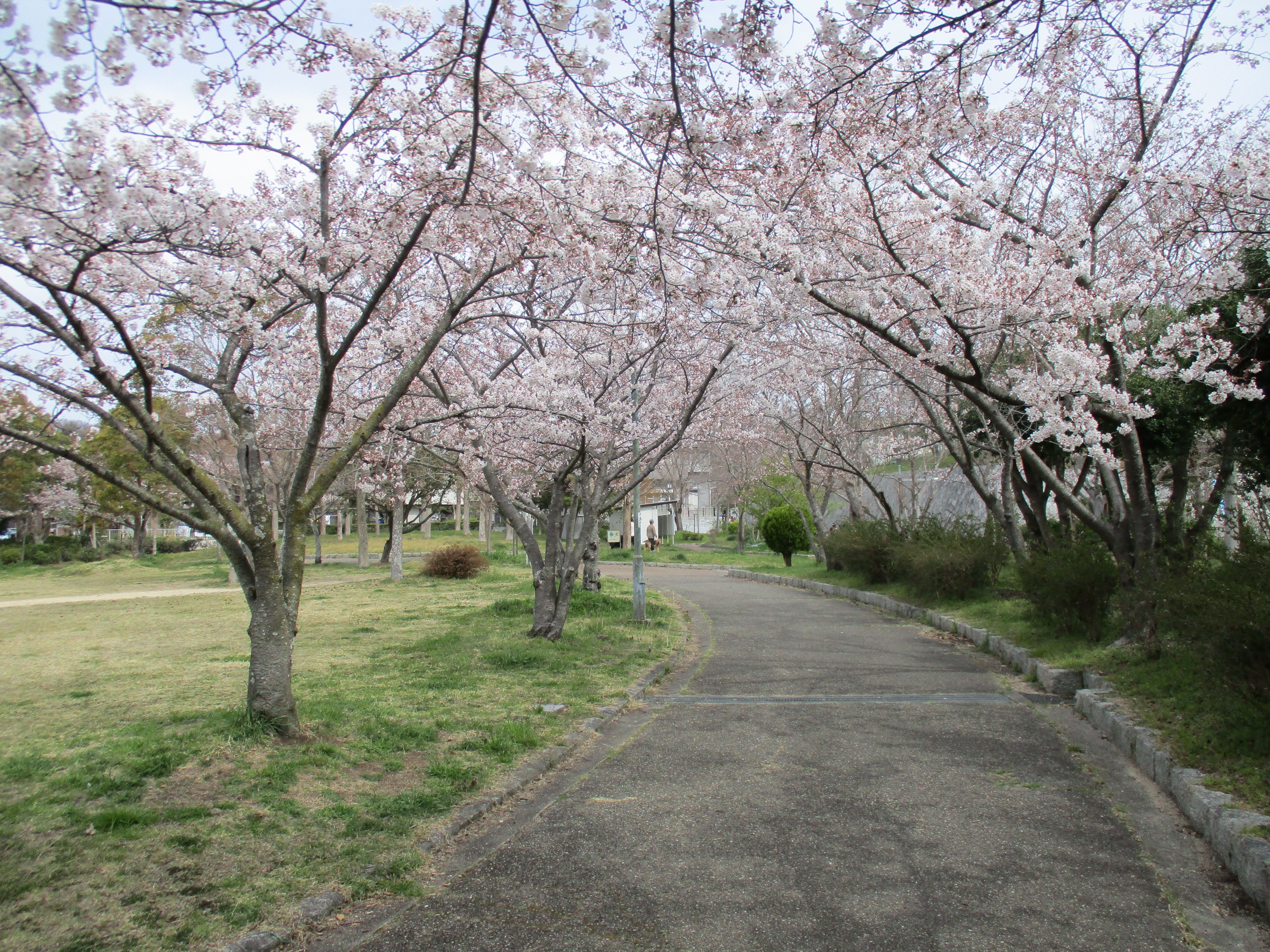 ファイル 511-3.jpg