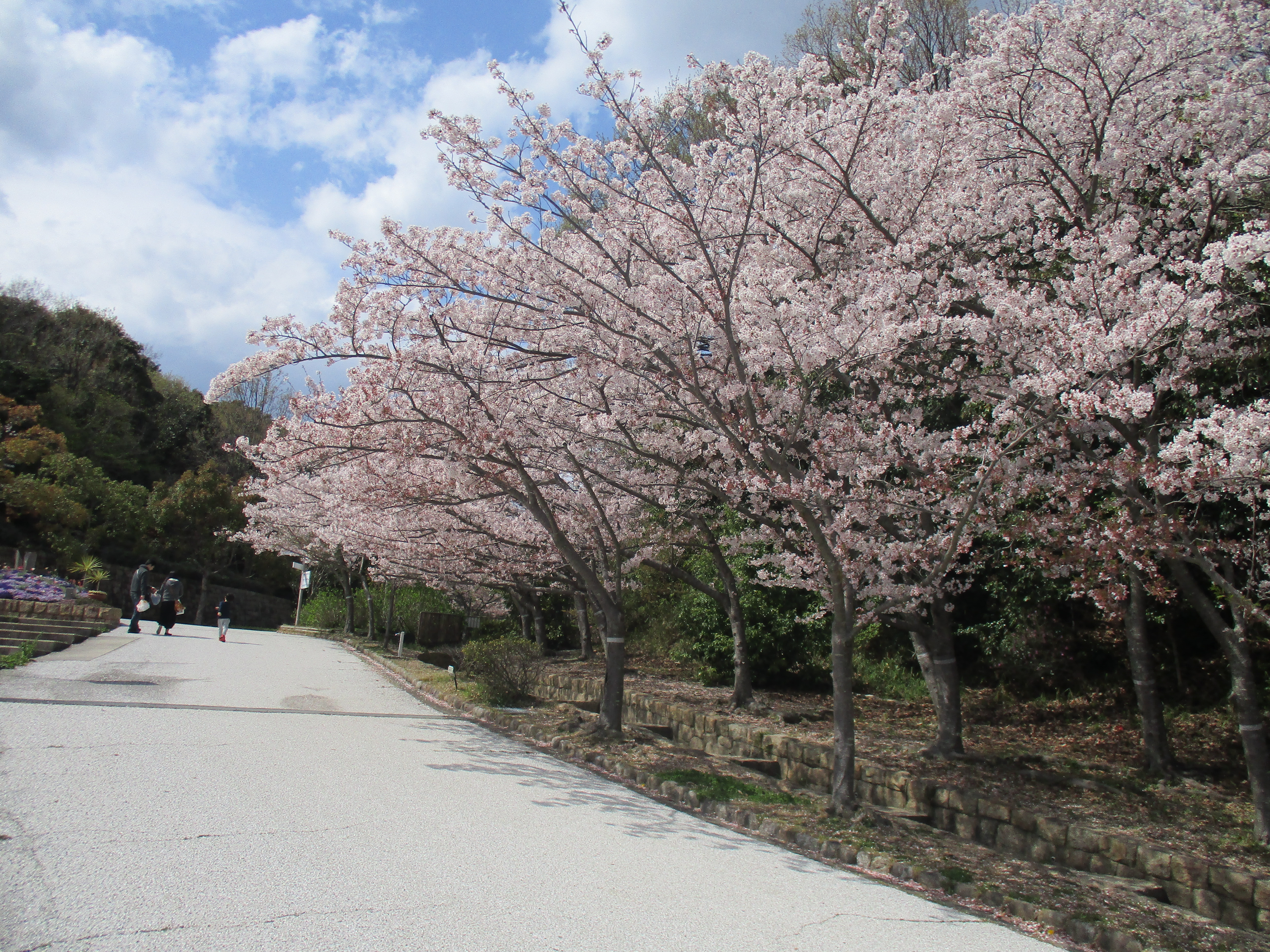 ファイル 513-2.jpg