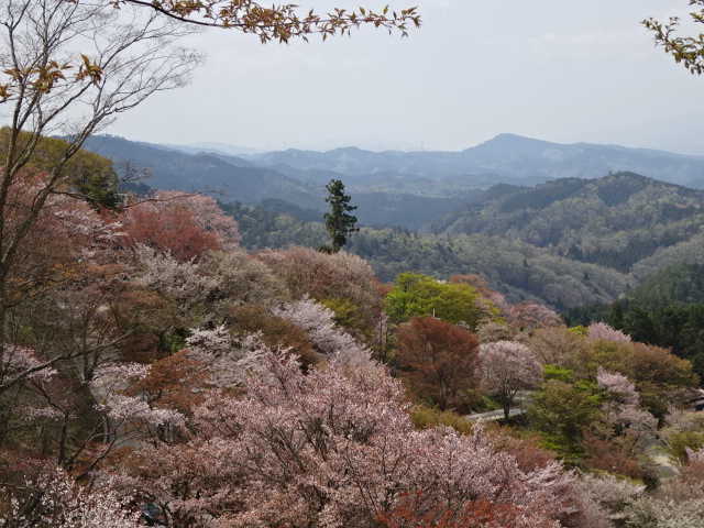 ファイル 515-1.jpg