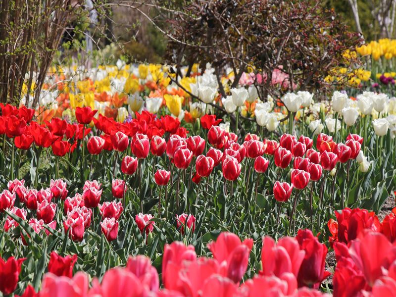 ファイル 516-1.jpg