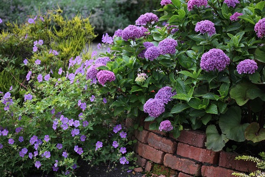 ファイル 523-1.jpg