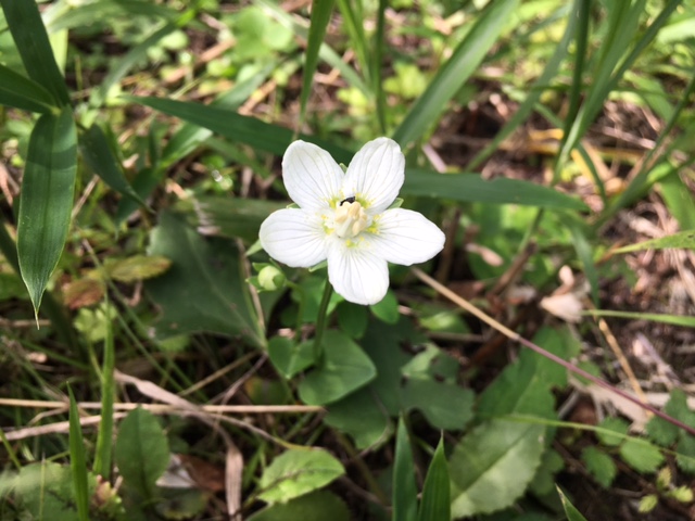 ファイル 535-1.jpg