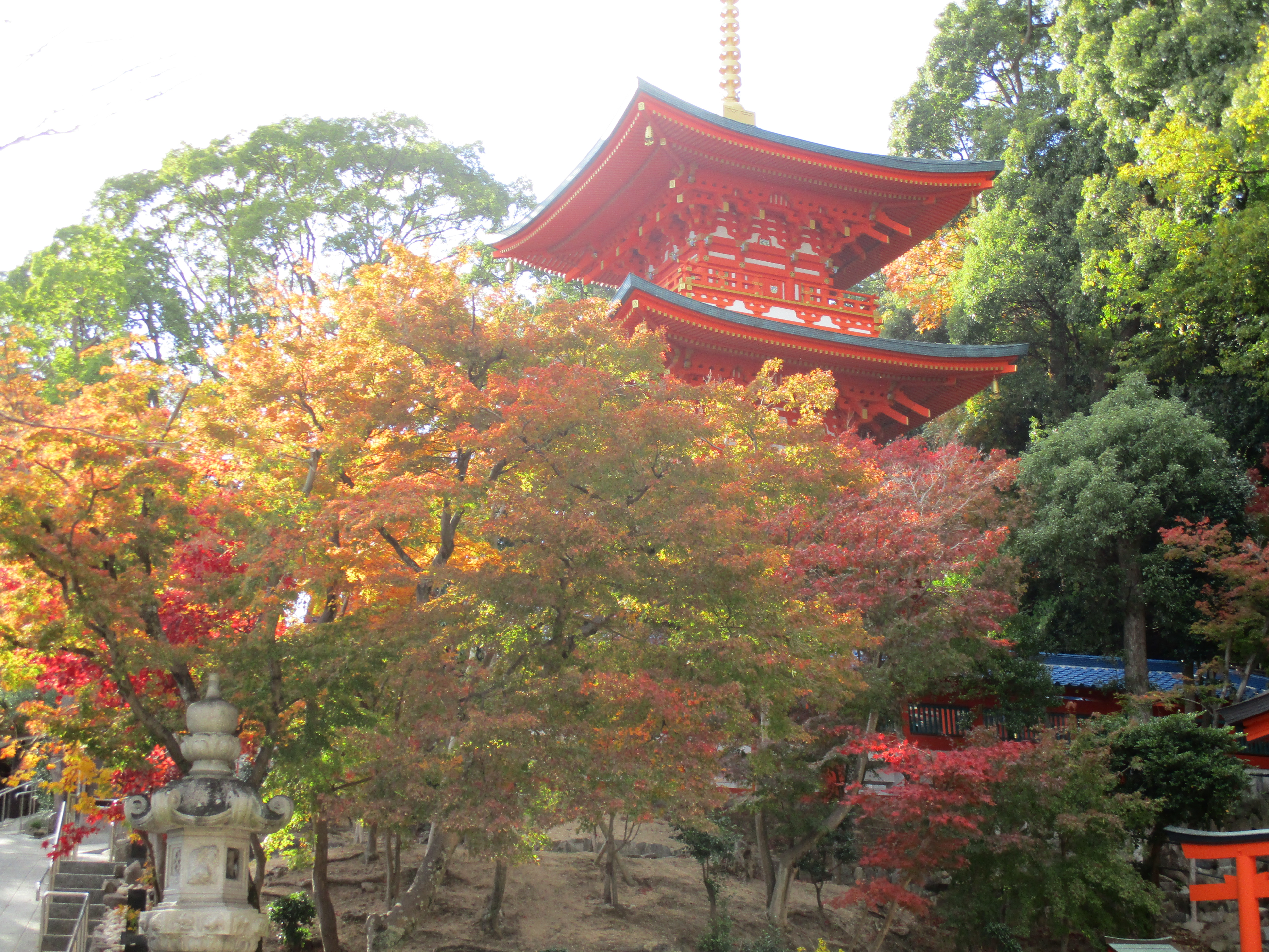 ファイル 545-2.jpg