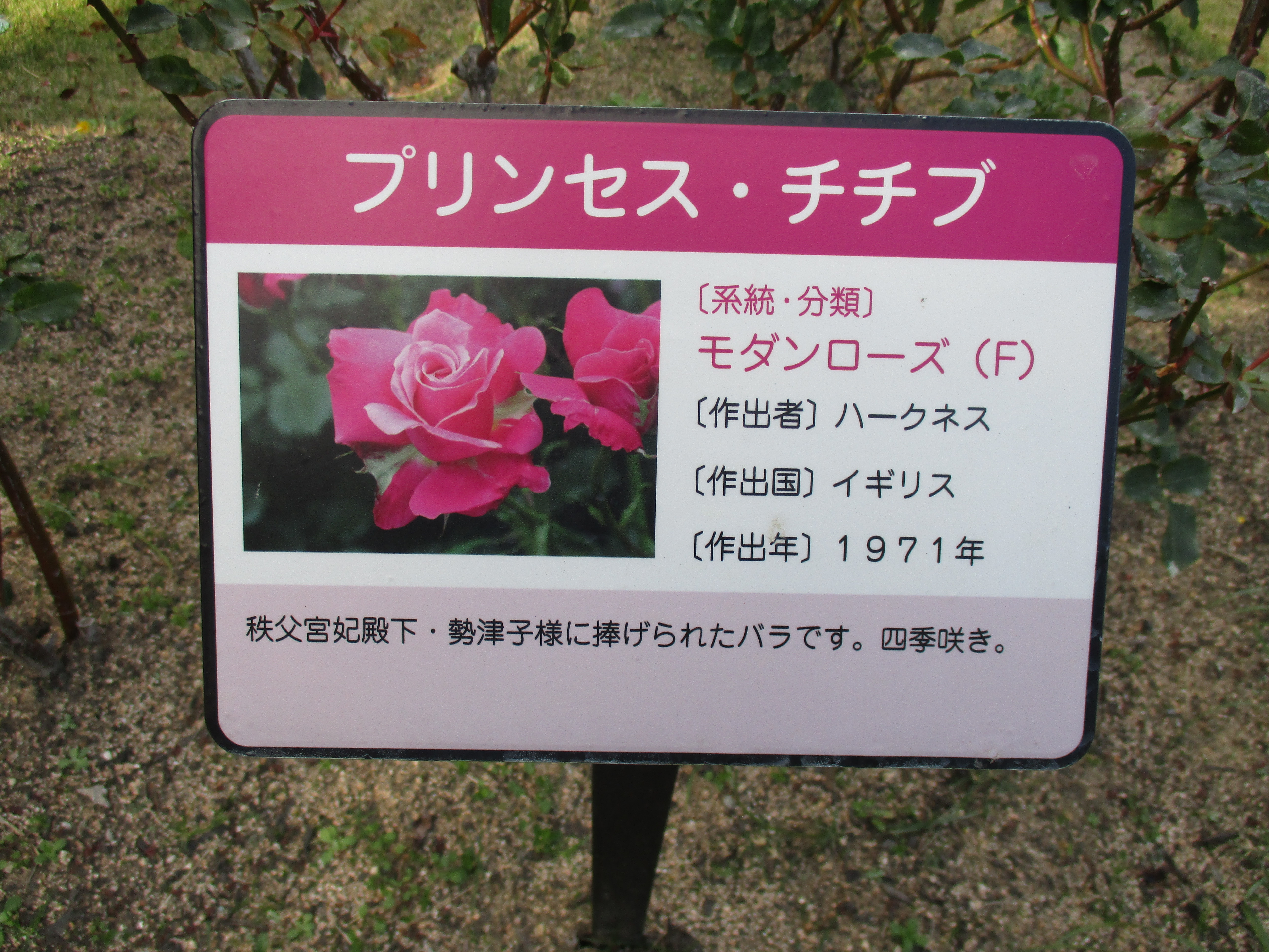 ファイル 546-1.jpg