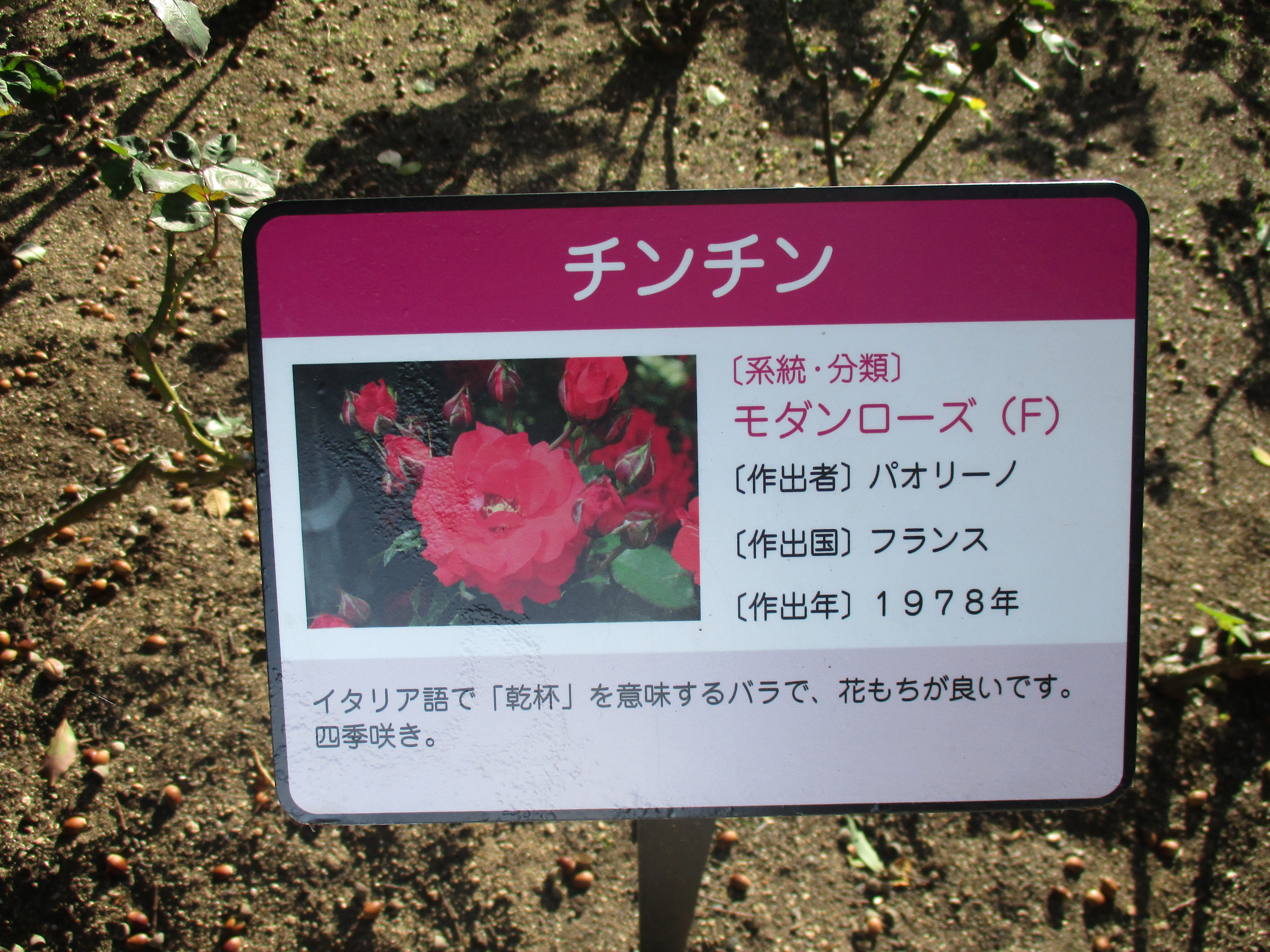 ファイル 548-1.jpg