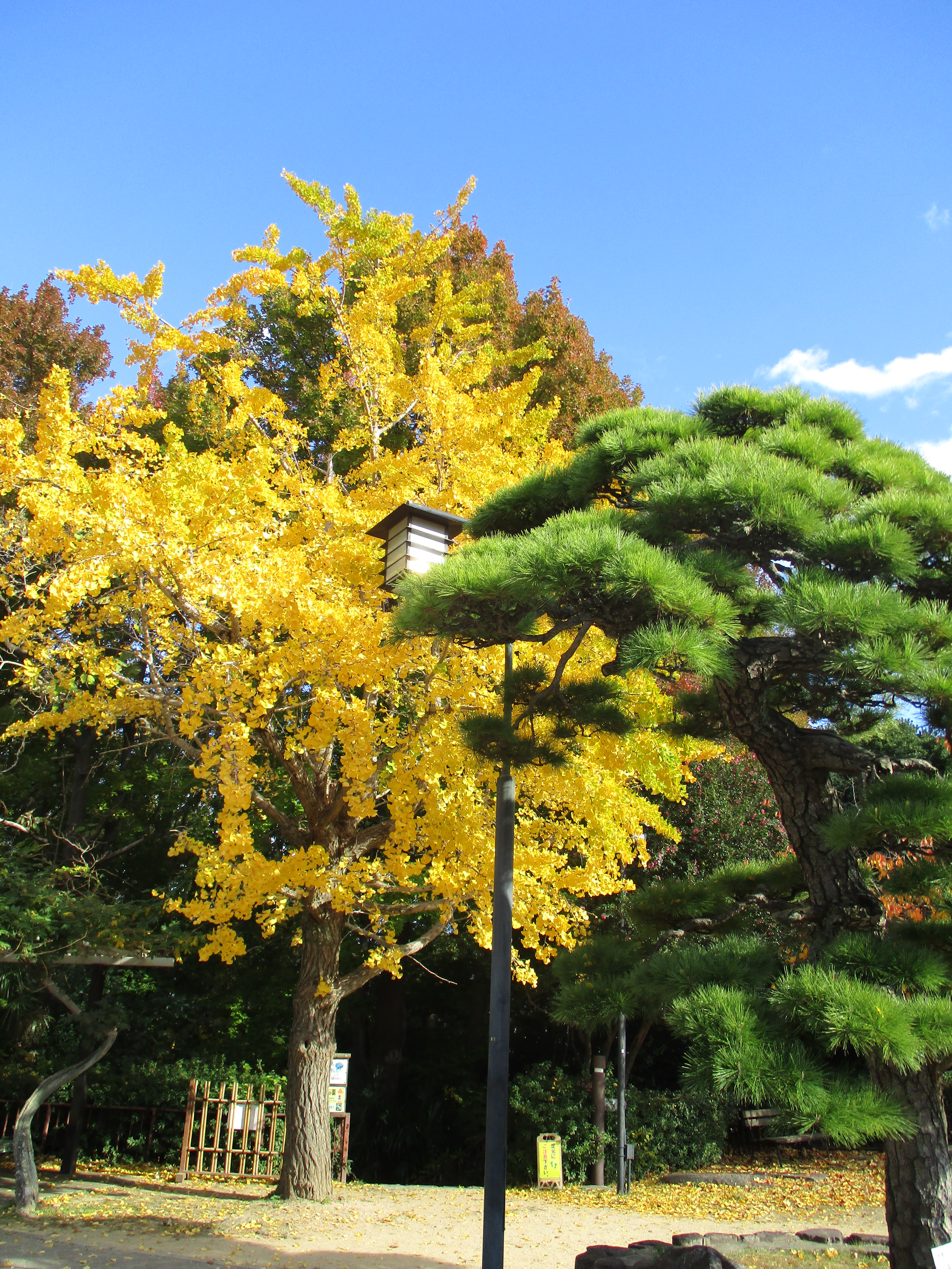 ファイル 551-1.jpg