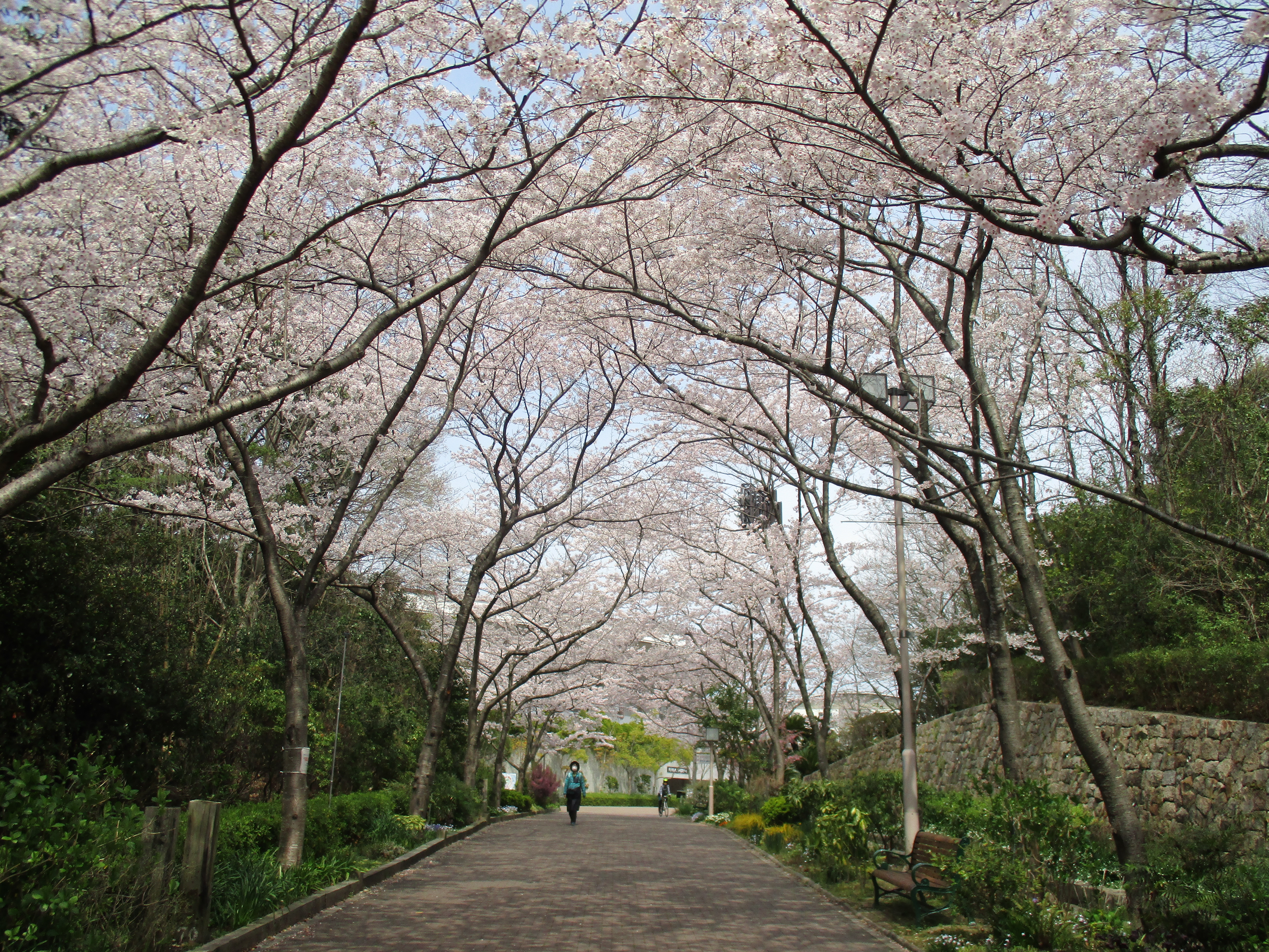 ファイル 568-1.jpg