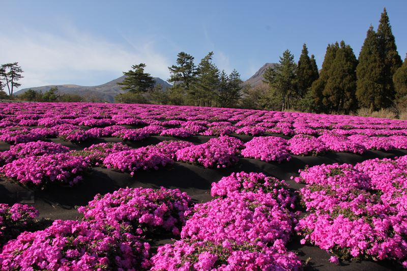 ファイル 571-1.jpg