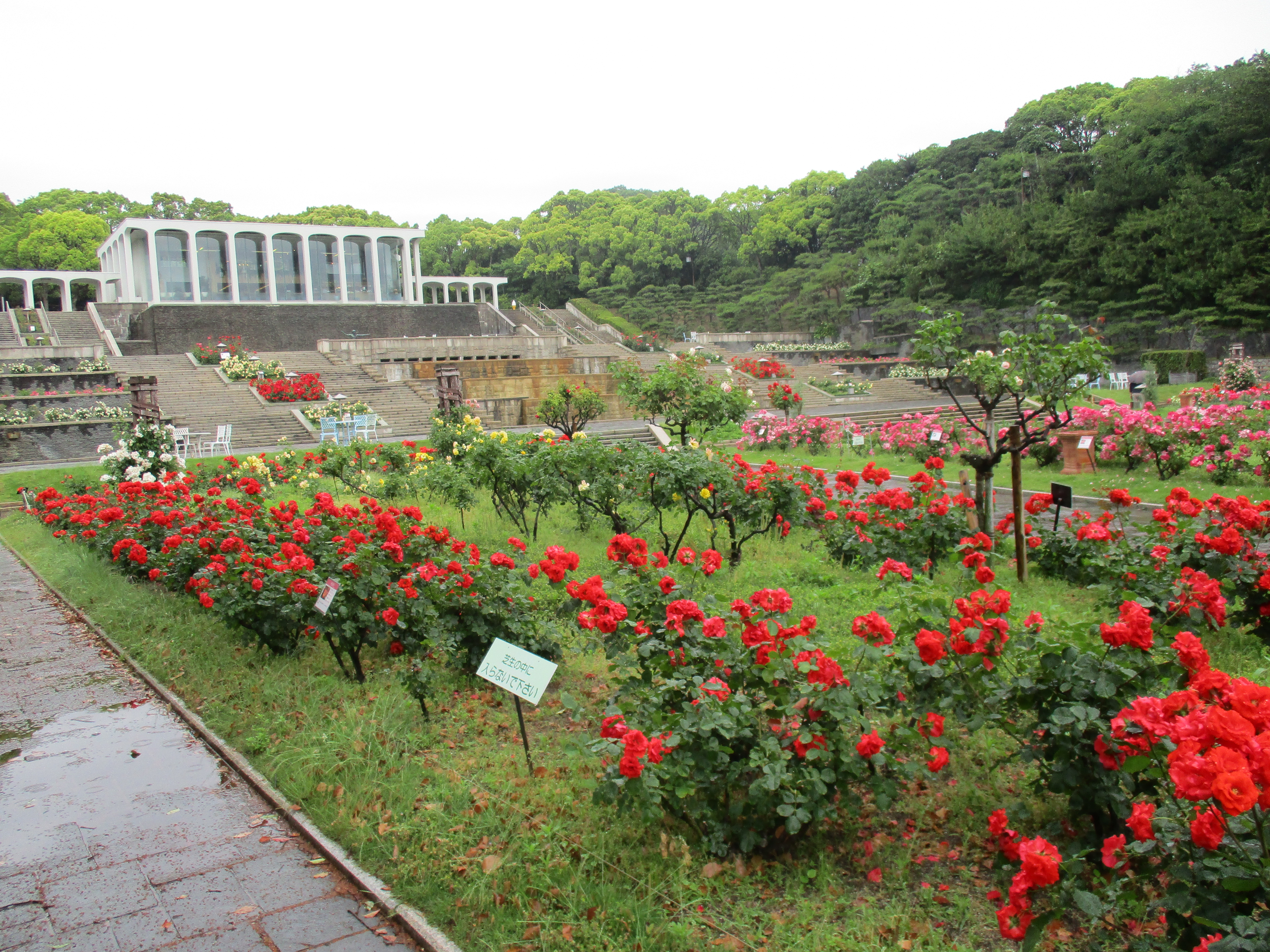 ファイル 580-1.jpg