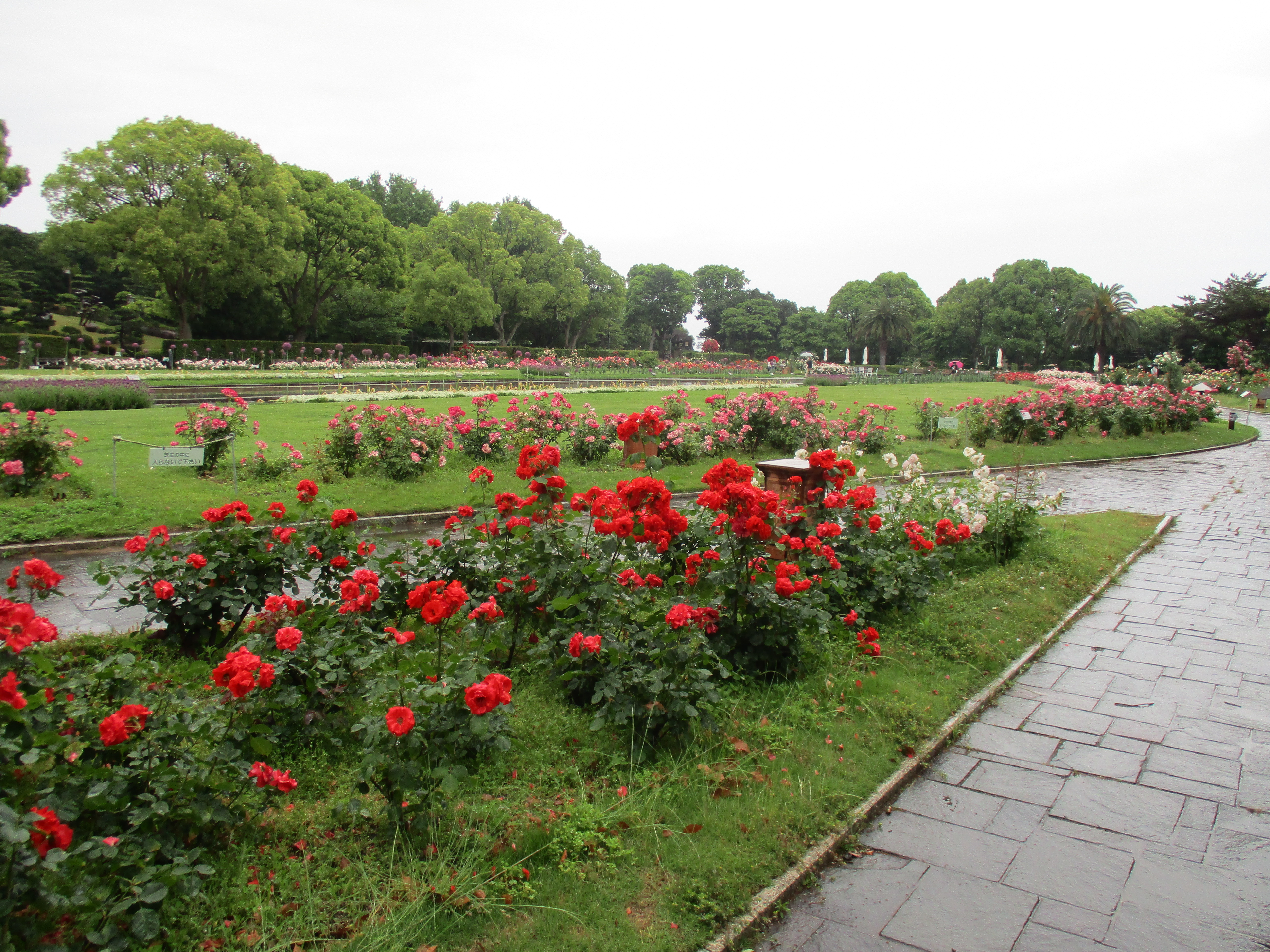 ファイル 581-2.jpg