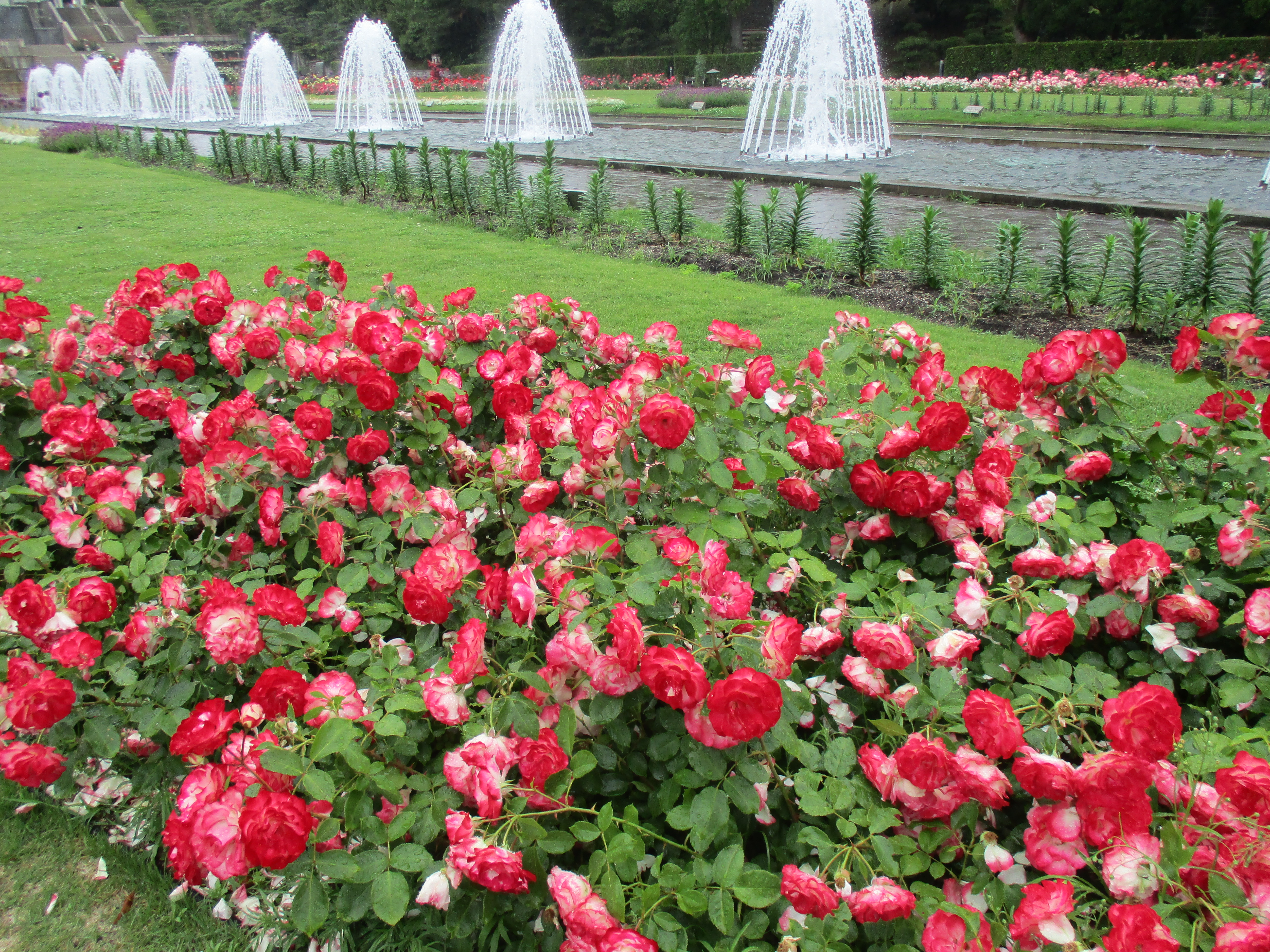 ファイル 583-2.jpg