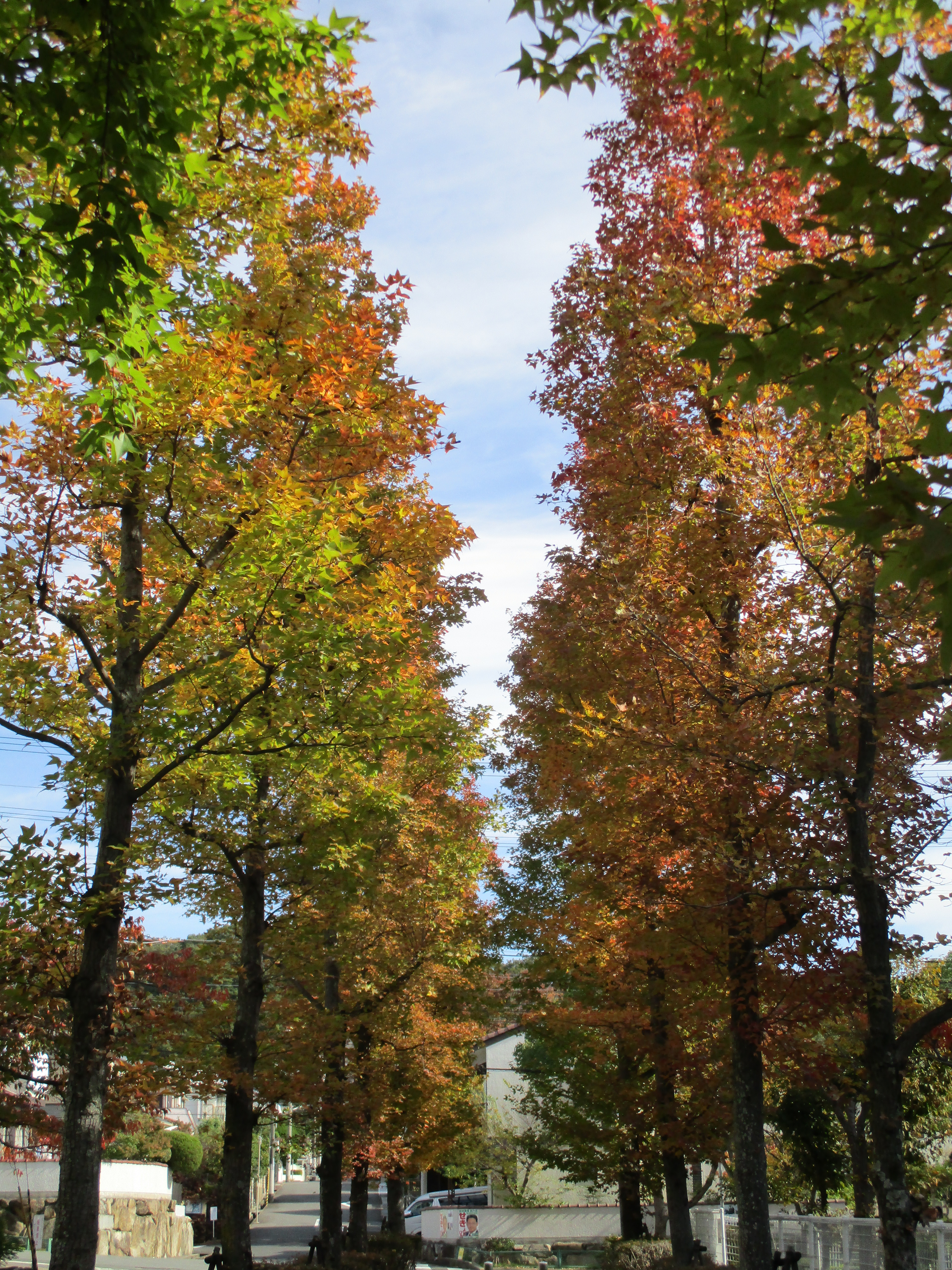 ファイル 608-1.jpg